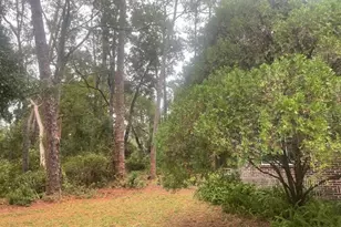 635 NE 9th Ave, Gainesville, FL 32601 - Photo 16