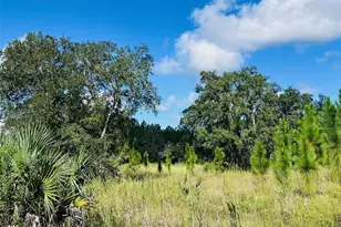 5271 NW Co Rd 347, Chiefland, FL 32626 - Photo 36