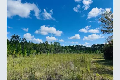 5271 NW County Road 347, Chiefland, FL 32626 - Photo 34