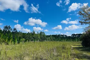 5271 NW Co Rd 347, Chiefland, FL 32626 - Photo 34