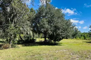 5271 NW Co Rd 347, Chiefland, FL 32626 - Photo 32