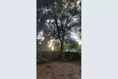 1115 NW 22nd Avenue, Gainesville, FL 32609 - Photo 14