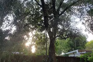 1115 NW 22nd Ave, Gainesville, FL 32609 - Photo 14