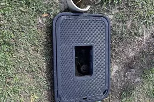 11416 NW 113th St, Chiefland, FL 32626 - Photo 46