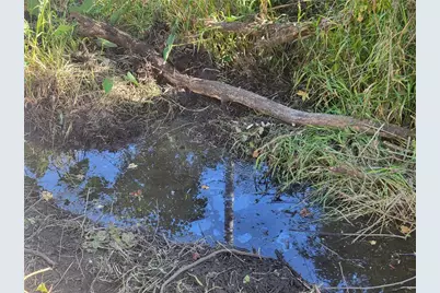 15031 SE 189th Place, Hawthorne, FL 32640 - Photo 34