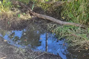 15031 SE 189th Pl, Hawthorne, FL 32640 - Photo 34