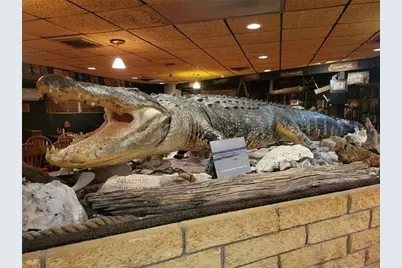 15031 SE 189th Place, Hawthorne, FL 32640 - Photo 56