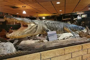 15031 SE 189th Pl, Hawthorne, FL 32640 - Photo 56