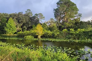 15031 SE 189th Pl, Hawthorne, FL 32640 - Photo 50