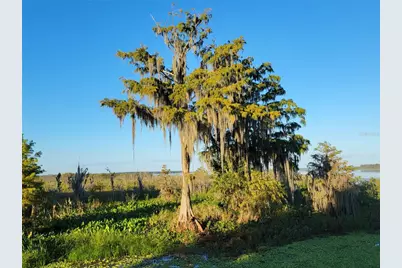 15031 SE 189th Place, Hawthorne, FL 32640 - Photo 62