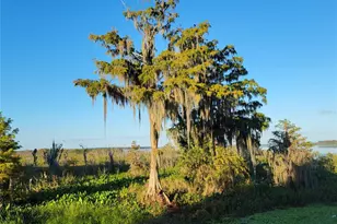 15031 SE 189th Pl, Hawthorne, FL 32640 - Photo 62