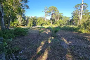 15031 SE 189th Pl, Hawthorne, FL 32640 - Photo 36