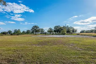 630 SW Marigold Pl, Fort White, FL 32038 - Photo 82