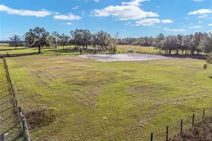 630 SW Marigold Pl, Fort White, FL 32038 - Photo 94