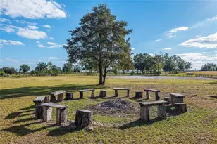 630 SW Marigold Pl, Fort White, FL 32038 - Photo 74