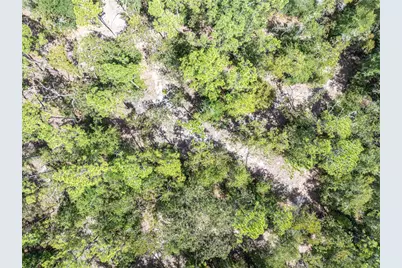 11160 NW 5th Avenue, Branford, FL 32008 - Photo 64