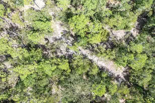 11160 NW 5th Ave, Branford, FL 32008 - Photo 64