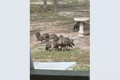 11160 NW 5th Avenue, Branford, FL 32008 - Photo 96