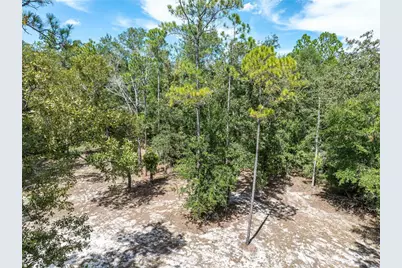 11160 NW 5th Avenue, Branford, FL 32008 - Photo 62