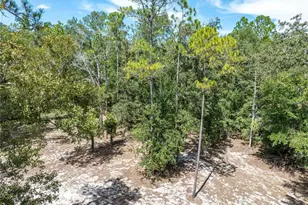 11160 NW 5th Ave, Branford, FL 32008 - Photo 62