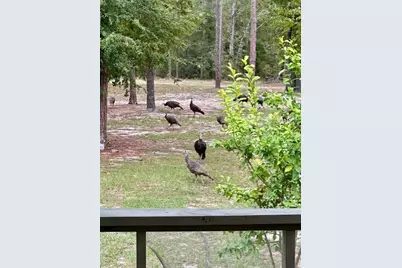 11160 NW 5th Avenue, Branford, FL 32008 - Photo 94