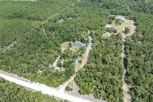 11160 NW 5th Ave, Branford, FL 32008 - Photo 86