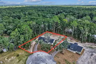 17391 NW 81st Terrace, Fanning Springs, FL 32693 - Photo 4