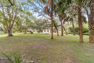 18395 NW 4th Terrace, Citra, FL 32113 - Photo 58