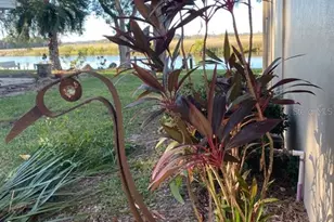 11550 W Bayshore Dr, Crystal River, FL 34429 - Photo 4