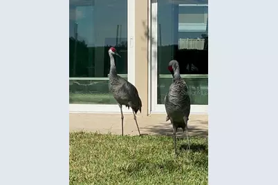 11550 W Bayshore Drive #20, Crystal River, FL 34429 - Photo 6