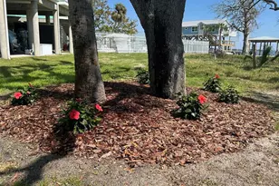 502 Main St, Horseshoe Beach, FL 32648 - Photo 46
