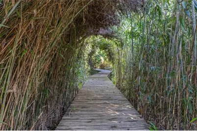 11930 SE 225th Drive, Hawthorne, FL 32640 - Photo 38