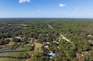 832 Lake Shore Ter, Interlachen, FL 32148 - Photo 40