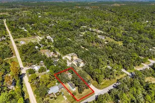 5970 SW 103rd Ct, Cedar Key, FL 32625 - Photo 2