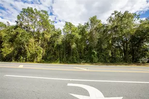 Sr-21, Melrose, FL 32666 - Photo 10