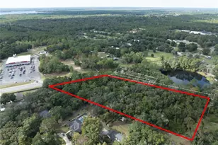 Sr-21, Melrose, FL 32666 - Photo 6