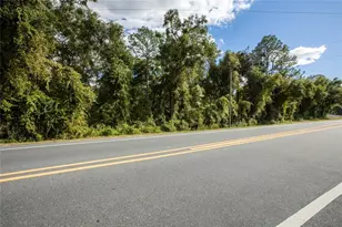 Sr-21, Melrose, FL 32666 - Photo 12