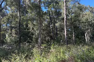 3250 NW 48th Ave, Chiefland, FL 32626 - Photo 30