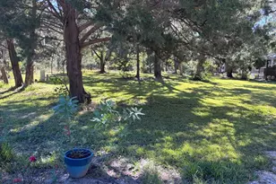 3250 NW 48th Ave, Chiefland, FL 32626 - Photo 32