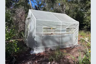 3250 NW 48th Avenue, Chiefland, FL 32626 - Photo 26