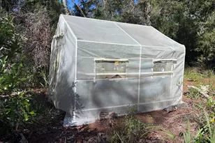 3250 NW 48th Ave, Chiefland, FL 32626 - Photo 26