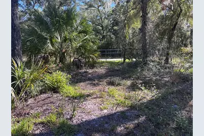 3250 NW 48th Avenue, Chiefland, FL 32626 - Photo 28