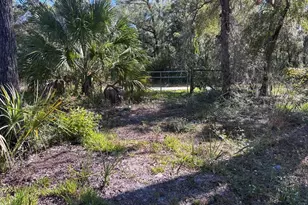 3250 NW 48th Ave, Chiefland, FL 32626 - Photo 28