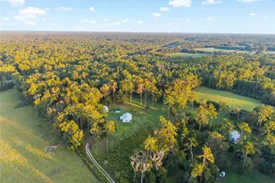 12719 NW 88th Pl, Alachua, FL 32615 - Photo 46