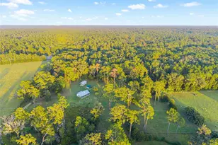 12719 NW 88th Pl, Alachua, FL 32615 - Photo 48