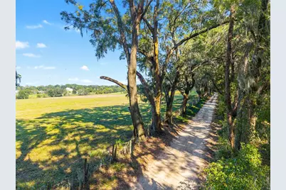 12719 NW 88th Place, Alachua, FL 32615 - Photo 42