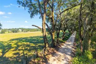 12719 NW 88th Pl, Alachua, FL 32615 - Photo 42