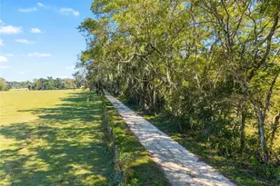 12719 NW 88th Pl, Alachua, FL 32615 - Photo 40