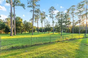 12719 NW 88th Pl, Alachua, FL 32615 - Photo 34