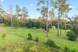 12719 NW 88th Pl, Alachua, FL 32615 - Photo 54